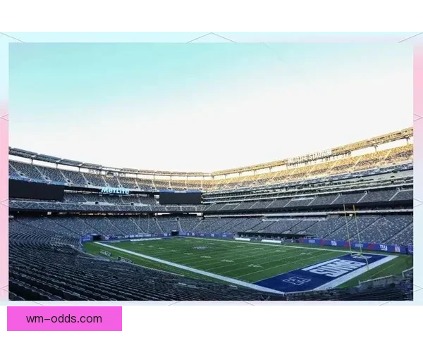 2026年世界杯体育场设计与建设探索：全球盛宴场地创新与未来发展趋势